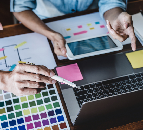 DESENVOLVIMENTO WEB INSTITUCIONAL